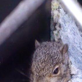 Profile Picture of Mark Hite (@87f06180b0bd4b3) on Twitter