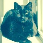 Profile Picture of Andrew Culbert (@andrewintoronto) on Instagram