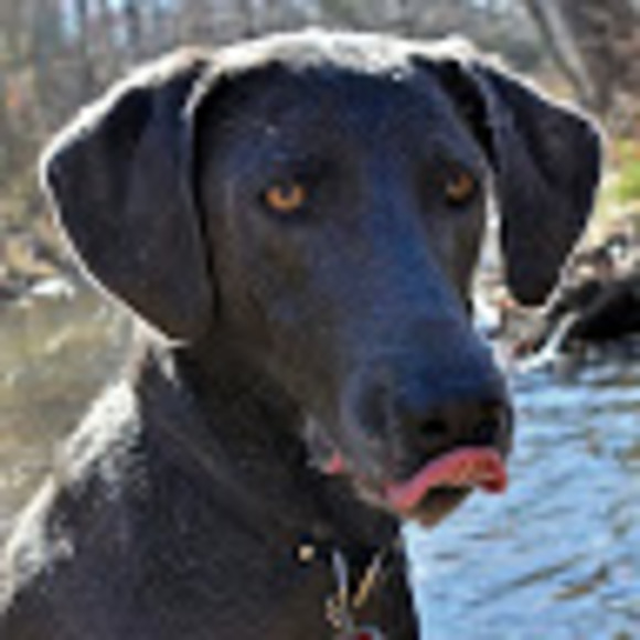 Profile Picture of Aaron Codling (@aaroncodling) on Poshmark