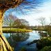 Profile Picture of Margaret Neal Neal (@daveyhulme) on Pinterest