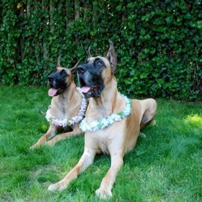 Profile Picture of John Rubino (@jcrubino) on Twitter