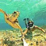 Profile Picture of Natalie Moore (@mazel435) on Instagram