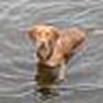 Profile Picture of Susan Tyrrell (@styrrell) on Flickr