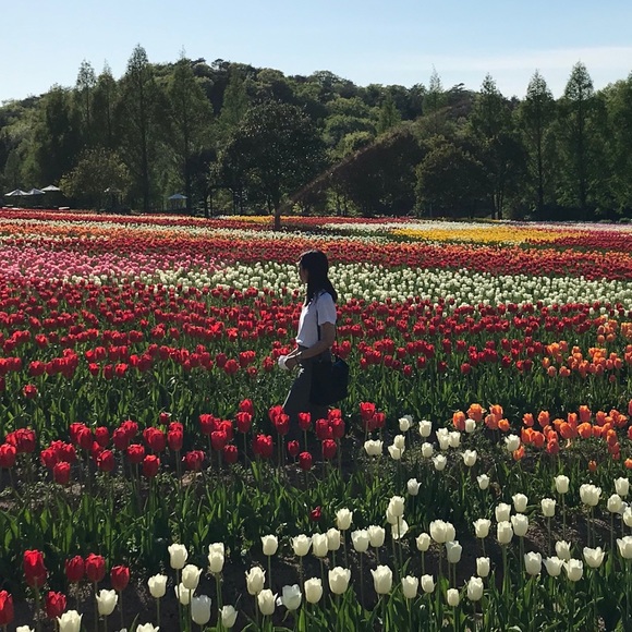 Profile Picture of Brittney Imada (@brittyb2) on Poshmark