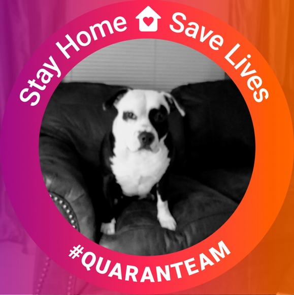 Profile Picture of Beverly Blalock (@zoomie129) on Poshmark