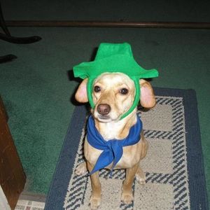 Profile Picture of Peggy Patrick (@266419874) on Myspace