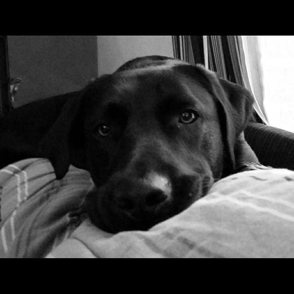 Profile Picture of Michelle Grabinski (@micgrab) on Poshmark