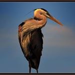 Profile Picture of Kevin Cadigan (@kevin.cadigan) on Instagram
