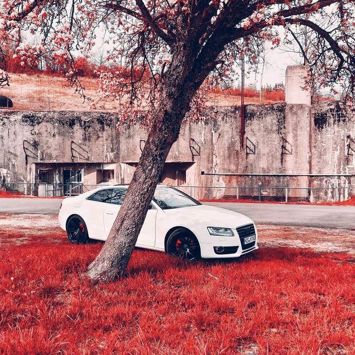 Profile Picture of Michael Steuer (@@michaelsteuer2) on Tiktok