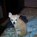 Profile Picture of Beverly Borders Springer (@beverly.b.springer) on Facebook