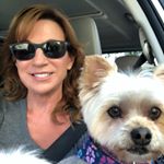 Profile Picture of Carol Brock (@love3pups) on Instagram