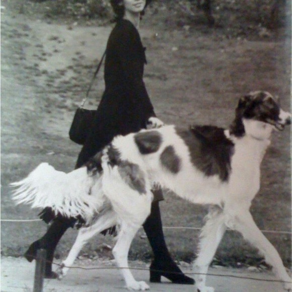 Profile Picture of Sofi Solovyova (@mers0) on Poshmark