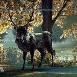 Profile Picture of Pegley🦌FFT2🀄RDC5 (@vampgrl7609) on Twitter