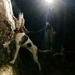 bob powell - Instagram Profile Picture of bob powell (@powellbob8) on Instagram