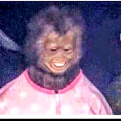 Profile Picture of Troy Hines (@Troyhin82995388) on Twitter