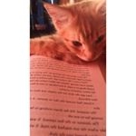 Profile Picture of Anastasia 📚 (@theearlgrayreader) on Instagram