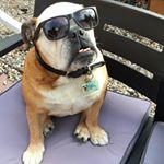 Profile Picture of Brendan Smith (@thee_old_granny) on Instagram