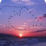 Profile Picture of joe duvall🌞 (@j333d333) on Instagram