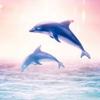 Profile Picture of Jasmine Gresham (@@jasminegresham20x) on Tiktok