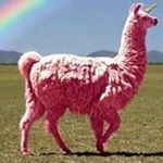 Profile Picture of Jon Haneklaus (@jonhaneklaus) on Instagram