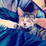 Profile Picture of Jacob mendenhall (@jacobmendenhall) on Instagram