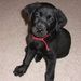 Profile Picture of Mark-Nancy Van Hal (@nancymark) on Pinterest