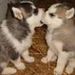 Profile Picture of Paul Dechene (@pauldechene) on Pinterest