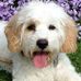 Profile Picture of Darcy Nicholson (@darcy.nicholson.52) on Facebook