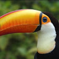 Profile Picture of Alex Blazek (@alex-blazek-1) on Quora