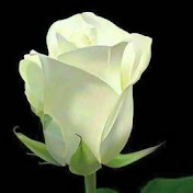 Profile Picture of Nora Hilda Cobos (@norahildacobos2227) on Youtube