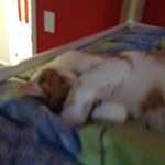 Profile Picture of Bradley (@stormicloudi) on Instagram