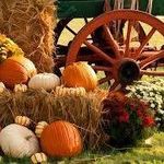 Profile Picture of Dave-Debbie Broderick (@broderickdavedebbie) on Instagram