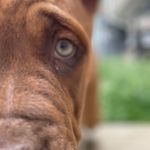 Profile Picture of Mike Lipka (@michaellipka) on Instagram