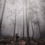 Profile Picture of Mohd Alvin Chong (@m.alvin_chong) on Instagram