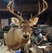 Profile Picture of Jason Tiner (@jason.tiner.3) on Facebook