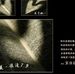 Profile Picture of ZhiWei Zheng (@zhiwei.zheng.581) on Facebook