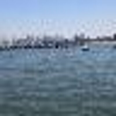 Profile Picture of WeiDing (@Dave_Ding) on Twitter