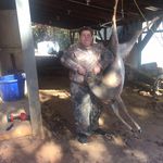 Profile Picture of Josh Sullins (@joshs6047) on Instagram