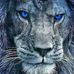 Profile Picture of Martín Botello (@martin.botello.14661) on Facebook