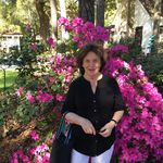 Profile Picture of Grandmama Holbert (@grandmamaholbert) on Instagram