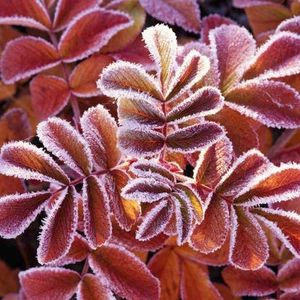 Profile Picture of Pam Wright (@timmmer23) on Myspace