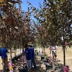 Profile Picture of Kevin Kimberling (@kevin.kimberling.671615) on Facebook