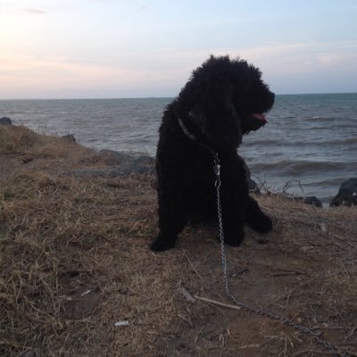 Profile Picture of Leonel Lopez (@Tresl688Lopez) on Twitter