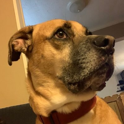 Profile Picture of Hope Travis (@HopeTravis11) on Twitter