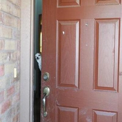 Profile Picture of James Nelson (@TheGnomeRanger) on Twitter