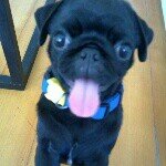 Profile Picture of Kim Baby Lord (@kim.fontes) on Instagram