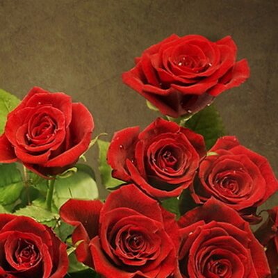 Profile Picture of Beulah Joseph (@BeulahJos) on Twitter