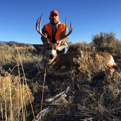Profile Picture of Jay Nielson (@nielsonber) on Twitter