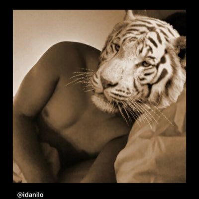 Profile Picture of Carlos Daniel (@DanielEldandiu) on Twitter