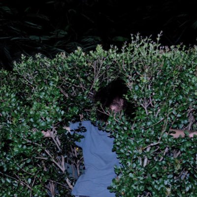 Profile Picture of Michael Abraham (@MaharbaLeahcim) on Twitter